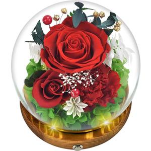 Quimoy Preserved Flowers Gift for Women, Gift for Mom, Flores Eternas Roses in Glass Dome with LED Lights, Real Flower Delivery Prime Gifts for Mother's Day, Birthday, Valentines, Christmas, Wedding (Red)