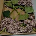 8 Pcs 18 Inch Coffee Brown Hydrangea Artificial Flowers Faux Hydrangea Flowers with Stems Fake Bouquet Bulk Realistic Floral for Fall Thanksgiving Home Table Christmas Indoor Decoration