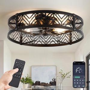 LEDIARY 23" Caged Ceiling Fan with Light, Large Flush Mount, App&Remote Control, Low Profile Bladeless Fan Light Fixture 6 Speed, Reversible and Quiet Motor-Black