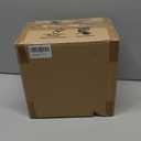 1-Light Bathroom Wall Sconce Light, Black and Gold Wall Light Fixtures with Clear Glass Shade, Modern Wall Lamp Indoor Wall Mounted Light for Hallway Bedroom Living Room Mirror