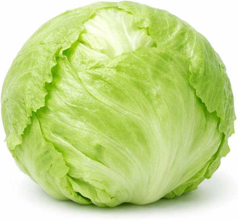 Crisphead Iceberg Lettuce Seeds – Compact Round Heads with Crisp Texture for Home Gardens, Raised Beds & Containers
