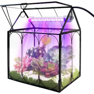 Plant Terrarium Kit with Grow Light, Rifny Large Glass Terrarium Jar with Absorbent Mat and Lid for Venus Fly Trap Succulent Live Air Plants Indoor Home Office Decor (Black, 8.9 x 5.9 x 9.9 inch)