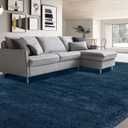 Shag Rug 9x12 for Living Room: Large Area Rug 9 X 12 Navy Blue for Living Room - Soft Plush Blue Rugs Modern Shaggy Fuzzy Floor Carpet (Navy Blue/9 by 12 Feet)