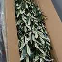 8ft Olive Trees Artificial Indoor, Tall Faux Olive Tree with Realistic Leaves and Lifelike Olives Fruits, Large Fake Silk Plant for Living Room Office Bedroom Balcony Home Decor