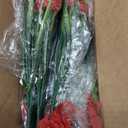 22 Pack Artificial Flowers Outdoor Fake Plants, Faux Flowers UV Resistant with Plastic Plants, Faux Silk Flowers for Outdoors Outside Front Porch Hanging Planter Window Box Garden Decoration(Red)
