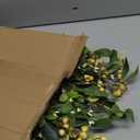 Bibelot 18 Inch Artificial Eucalyptus Stems with Berries, 6 Pcs Realistic Greenery Floral Picks, Spring Summer Stems for Wedding Centerpieces, Table and Home Decor