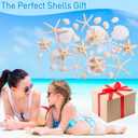 24PCS Sea Shells for Crafts Decoration - Real White Natural 2"-5" Scallop Shells and Starfish Coastal Christmas Craft Supplies, Beach Party, Painting, Easter DIY, Vase,Baking Shells, Birthday Gift