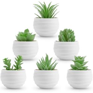 Der Rose 6 Pack Fake Plants Small Realistic Succulents Plants Artificial for Home Room Decor Indoor