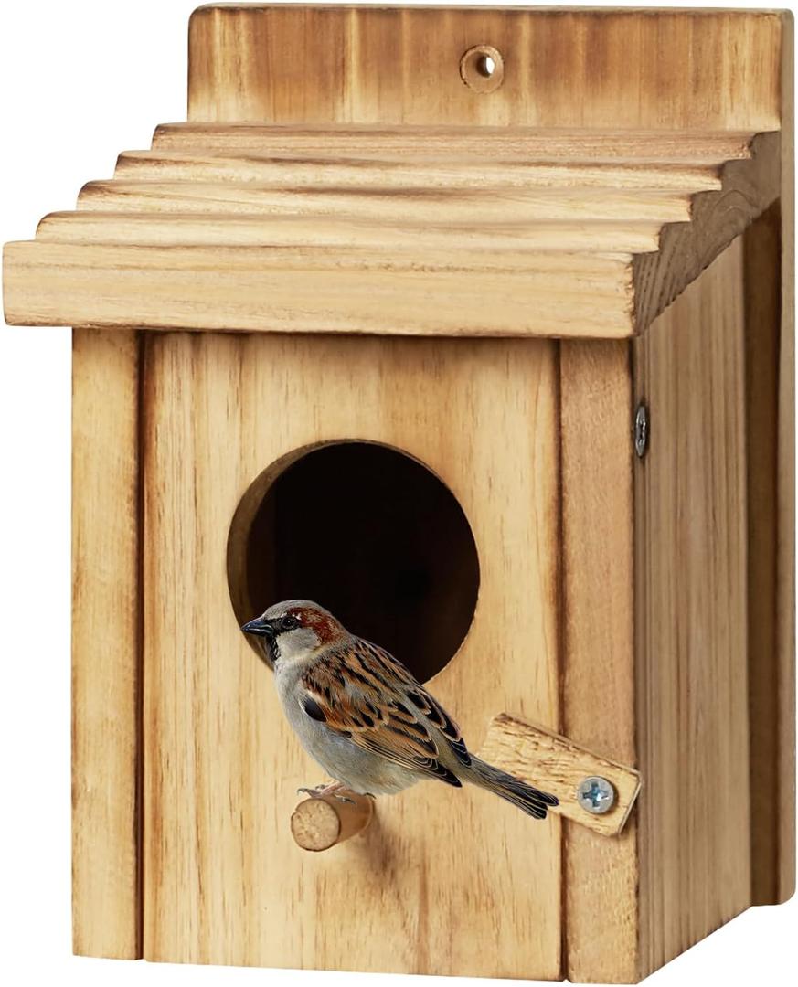 Small Bird House for Hummingbirds,Bird Houses for Outside,Humming Bird Houses for Outside,Outdoor Bird Box,Birdhouse,Bluebird House,Wooden Birdhouse with perches (3.9"D x 4.1"W x 5.7"H)