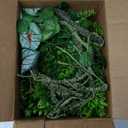 Reptile Plants for Bearded Dragon Tank Accessories, Terrarium Plant Artificial Decor for Snake Cage, Fake Plant for Leopard Gecko Habitat, Lizard Chameleon Ball Pythons (Group BN)