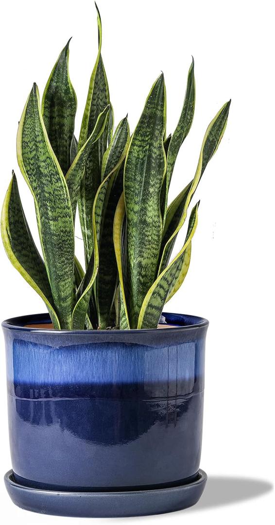 8 Inch Plant Pot: Ceramic Planter with Drainage Hole & Saucer - Gradient Blue Flowerpot for Indoor & Outdoor Plants with Separate Tray 8 Inch Plant Pot: Ceramic Planter with Drainage Hole & Saucer - Gradient Blue Flowerpot for Indoor & Outdoor Plants with Separate Tray