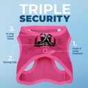 Best Pet Supplies Voyager Step-in Air Harness - All Weather Mesh, Reflective, No Pull Harness for Dogs, Cats - Secure with Hook & Loop Fastener, Buckle, Double D-Rings - Fuchsia, M
