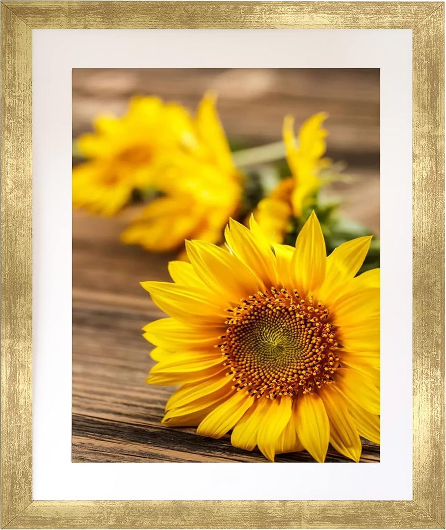 EVQUIT 14x17 Wall Picture frame with 11x14 mat, Gold Gallery Photo Frame for Horizontal or Vertical Display