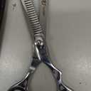 Professional Thinning Scissors  Premium Japanese 440C Steel Barber Shears  Precision Texturizing for Salon & Home Use (SILVER, 6.5)