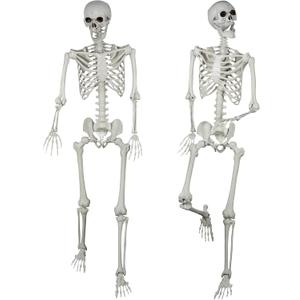 XONOR 5.4ft Halloween Posable Skeleton Realistic Life Size Human Skeleton Bones with Movable Joints for Halloween Haunted House Indoor Outdoor Decor, (2 Pieces)