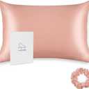 ALASKA BEAR Natural Silk Pillowcase, Hypoallergenic, 19 Momme, 600 Thread Count 100 Percent Mulberry Silk, Queen Size with Hidden Zipper (1, Dusty Pink) (Queen 20''x30'')