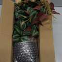 Fake Hanging Plants, 20 Inch Artificial Ivy Plant in Ceramic Pot Faux Vine Potted for Home Bedroom Office Table Shef Indoor Outdoor Decor Desk (Green/Red)