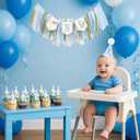 One Silly Goose Birthday Decor for Boy, Goose High Chair Blue Banner, 1st Birthday Party Hat, Silly Goose Cupcake Topper for Baby Shower Party Decorations