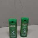 Garnier Fructis Pure Clean Purifying Shampoo, Silicone-Free, 12.5 Fl Oz, 2 Count 