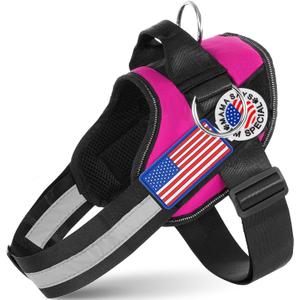 JUSTYEZI Essential Dog Harness with 3 Leash Clips - No-Pull, Adjustable, Comfortable Pet Vest Harness for Small to Large Dogs - Easy On, No Choke, Reflective, Padded Harness for Walking and Training (XS(Neck:11-14",Chest:14-16"), Rose red)