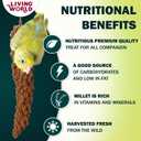 Living World - Millet Spray for Birds, 3.5 Oz Premium Treat for Budgies, Canaries, Finches, Cockatiels and Other Pet Birds (EXP 12/12/28)