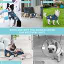 Recovery Suit for Dogs, Dog Surgery Recovery Suit with Zipper Closure Post Spay, Neuter, Abdominal Surgical Suit for Male Female Dogs Can Pee, Prevent Licking Dog Onesies (Blue Bear, Large+)