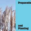 The Container Gardening Handbook: A Beginners Guide to Growing Flowers in Pots