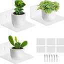 Acrylic Small Adhesive Wall Shelves,Mini Floating Shelves,Acrylic Display Shelves, Ledges for Pop Figures, Plant, Picture Photo Modern Wall for Bedroom Decor Living Room, Clear