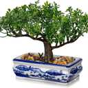 Artificial Bonsai Tree with Blue and White Porcelain Pot, Fake Bonsai for Home Office Desk Decor, Oriental Zen Tabletop Decoration, Faux Bonsai Plant for Living Room, Shelf & Gift