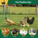 Electric Poultry Netting 41.5" H x 164' L, Portable Electric Chicken Fence for Chickens, Ducks, Geese & Turkey, Anti-Predator Poultry Net Fencing with Double Spike Posts for Backyard, Farm & Homestead