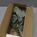 Briful Artificial Eucalyptus Stems in Glass Vase with Faux Water, 14" Fake Plant Eucalyptus Leaves for Home Bathroom Office Farmhouse Wedding Centerpiece Dcor (Clear)