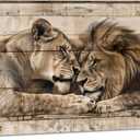 Lion Lioness Canvsa Wall Art Vintage Lion Picture Wall Decor Framed Wood Background Poster Animal Couple Painting Prints Living Room Bedroom Ready to Hang(16.00"x24.00")