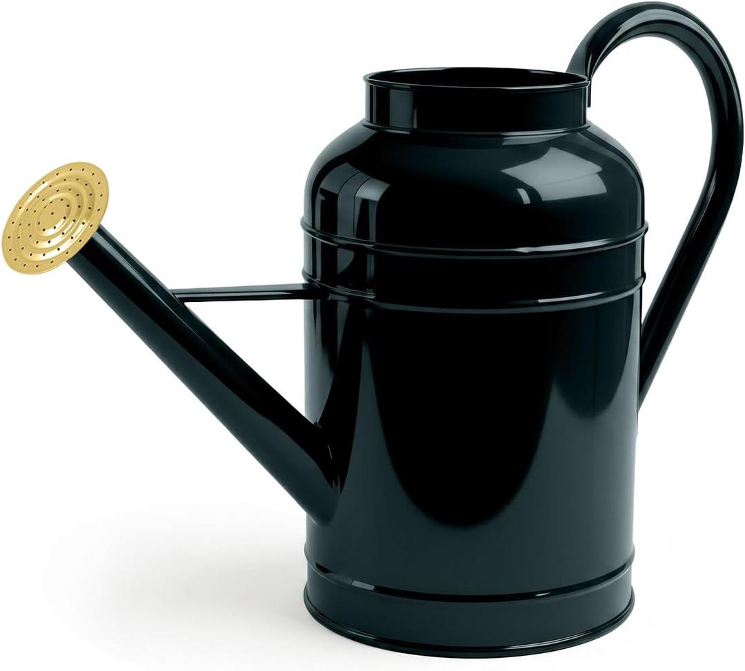 Galvanized Iron Watering Can for Indoor Plants, Bowl Watering Cans for House Plant Garden Flower, Long Spout Water Can for Outdoor Watering Plants 8.71L 2.3 Gallon Gold