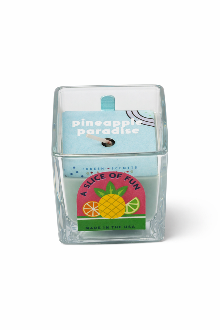 A SLICE OF FUN, WAX WT 2.5OZ (70.87), 5 PACK