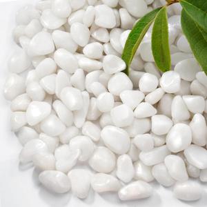 2.2 lb Natural Polished White Pebbles, 1/2 Inch Decorative White Rocks for Potted Plants Pot Filling Aquariums Outdoor Street Scape Decorative Rocks
