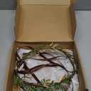 MOSTORY Moon Flower Fairy Crown - Renfaire Woodland Crown Floral Headband Forest Elf Headpiece Elven Circlet for Women Renaissance Accessory Renfaire Halloween Cosplay Photo Shoot (Gold Emerald)