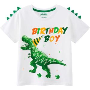 Dinosaur Birthday Boy T-Shirts Dino Birthday Shirts for BoysTolddlers Dinosaur B-Day Party T Shirt (5-6 Years, Green)