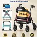 Bluelog Walkers for Seniors Rollator Walkers with Seat, 350lb Capacity with Cup Holder & Cane Holder, 8'' All Terrain Wheels, Adjustable Handles and Seat Height, Foldable Design, Burgundy