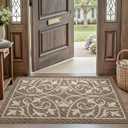 DEXI Front Door Mat Indoor Entryway, Inside Welcome Entrance Doormat Low Profile Thin, Non Slip Washable Entry Mats for House Floor Dirt Trapper, 32x48, Brown