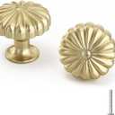 goldenwarm 20 Pack Gold Cabinet Knobs Dresser Knobs Gold Drawer Pulls and Knobs for Dresser Cabinet (Brushed Brass)