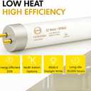 Circle F32T8/SP865 T8 Fluorescent Light Bulbs 48 Inch, 32W 6500K Daylight, G13 Medium Bi-Pin Base, 4FT Commercial Ceiling Light Replacement for Garage, Office & Shop Fixtures, 25 Pack