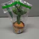 Valentine Gifts for Kids Baby Toys 0-6 3-6 6-12 12-18 Months Dancing Talking Cactus, Toddler Boys Girls Gifts for 2 3 4 5 6 7 8 9 10 Month Old Baby Toys for 1 Year Old Boy Girl