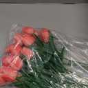 20 Pcs Coral Tulips Artificial Flowers Real Touch Fake Tulips Fake Flowers for Mother's Day 13.5" Faux Tulips Faux Flowers Bulk Artificial Tulips Flowers for Vase Centerpieces Home Wedding Bouquet