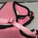 PUPTECK Cat Harness and Leash Set Escape Proof Reflective Cat Walking Harness Adjustable Soft Breathable Mesh Vest for Small Pets, Light Pink, L (L (NECK 14"-18", CHEST 18"-26.5"))