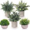 Fake Plants,5 Pack Small Fake Plants Mini Potted Artificial Eucalyptus Greenery Plastic Green Grass Plants for Indoor Outdoor,Mini Faux Plant for Shelve Desk Table Farmhouse Bathroom Shelf Decor (2 Green+3 Grey)