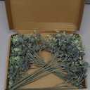 Janinka Mixed Eucalyptus Leaves Stems Bulk with White Seeds Artificial Silver Dollar Leaves Sprays Faux Oval for Wreath Garland Floral Bouquets Arrangement Wedding Greenery Decoration (40)