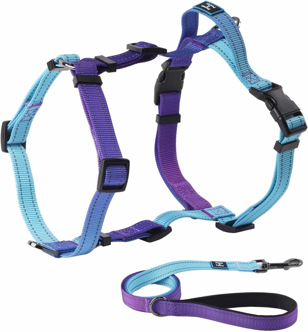 Roses&Poetry Puppy Dog Harness and Leash Set, No Pull Dog Harness Adjustable Reflective, Dog Halter Harnesses Comfort Padded Handle, Pet Harness for Training Outdoor Walking Gsky-XS (Violet)