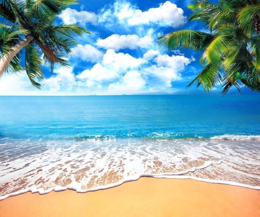 Summer Tropical Beach Backdrop Blue Sea Sky White Clouds Palm Trees Backdrop Theme Portrait Photography Background Holiday Photo Video Studio Props Banner 20x10ft