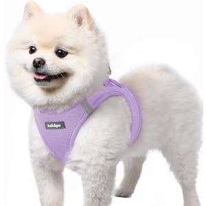 rabbitgoo Small Dog Harness, Step-in Soft Mesh Puppy Vest with Safety Buckle, Breathable Reflective Pet Harness for Small Sized Dogs, Light Purple S (S(Chest:15.1"-16.5"))
