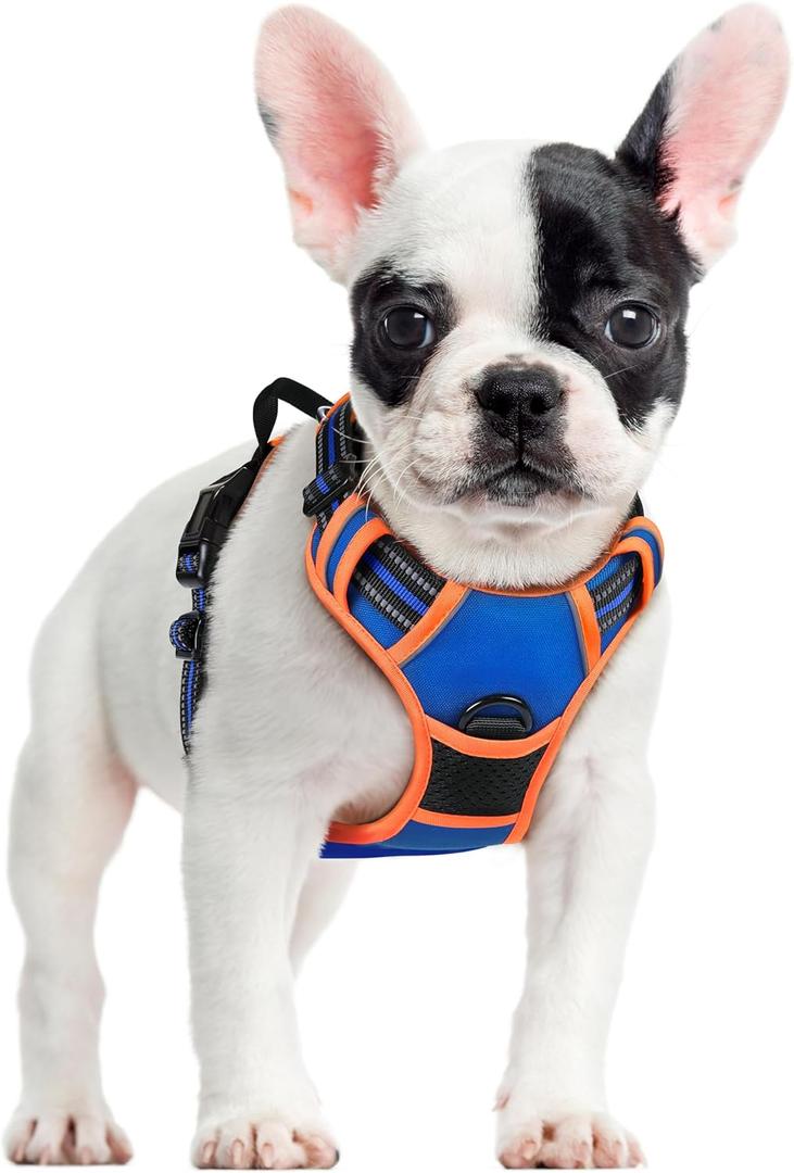 rabbitgoo Dog Harness No Pull with 2 Leash Clips, Adjustable Soft Padded, Reflective Oxford No Choke Pet Vest with Easy Control Handle for Small Dogs, Blue & Orange, Small rabbitgoo Dog Harness No Pull with 2 Leash Clips, Adjustable Soft Padded, Reflective Oxford No Choke Pet Vest with Easy Control Handle for Small Dogs, Blue & Orange, Small
